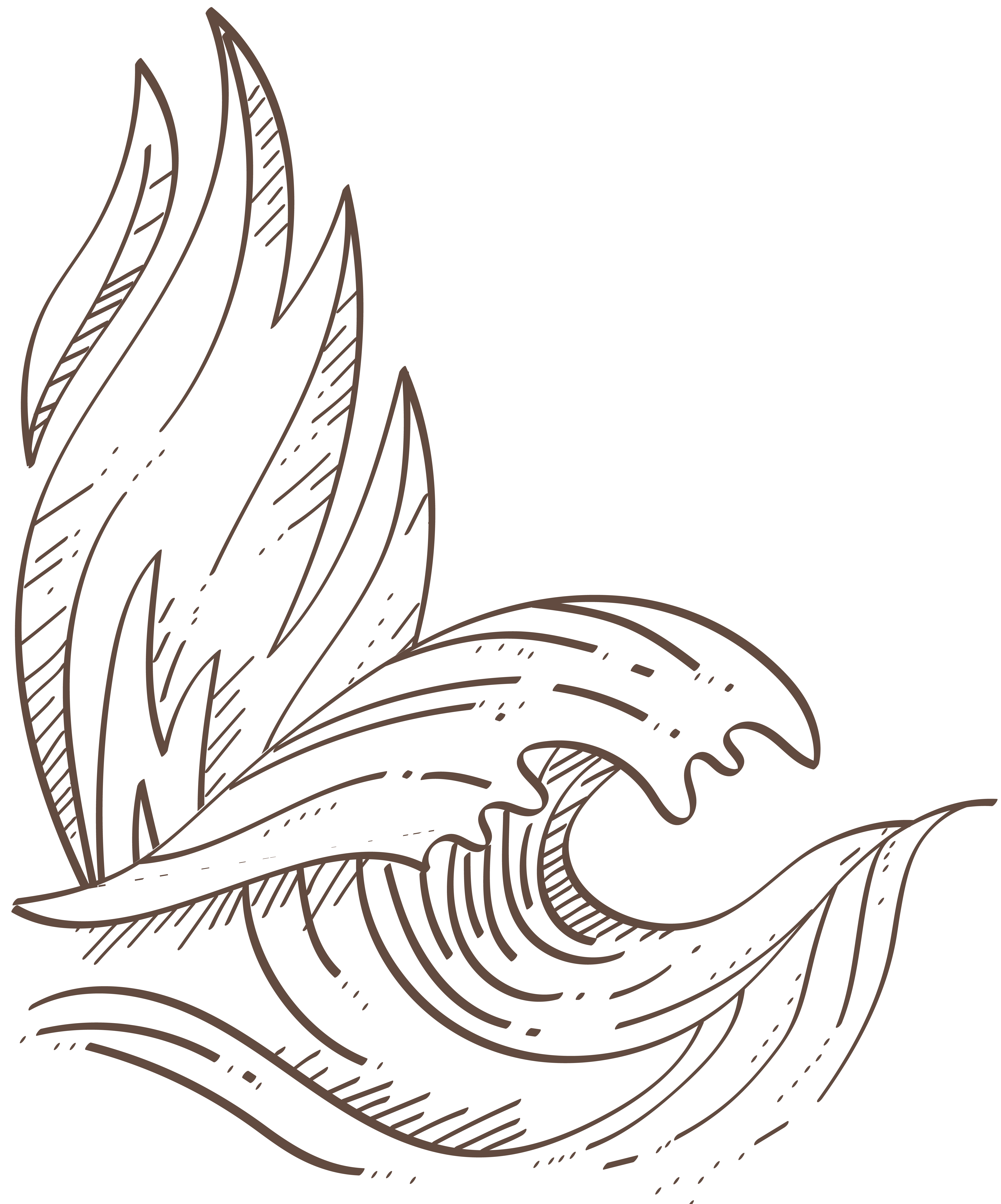 3 Doshas Ayurveda erklärt Pitta