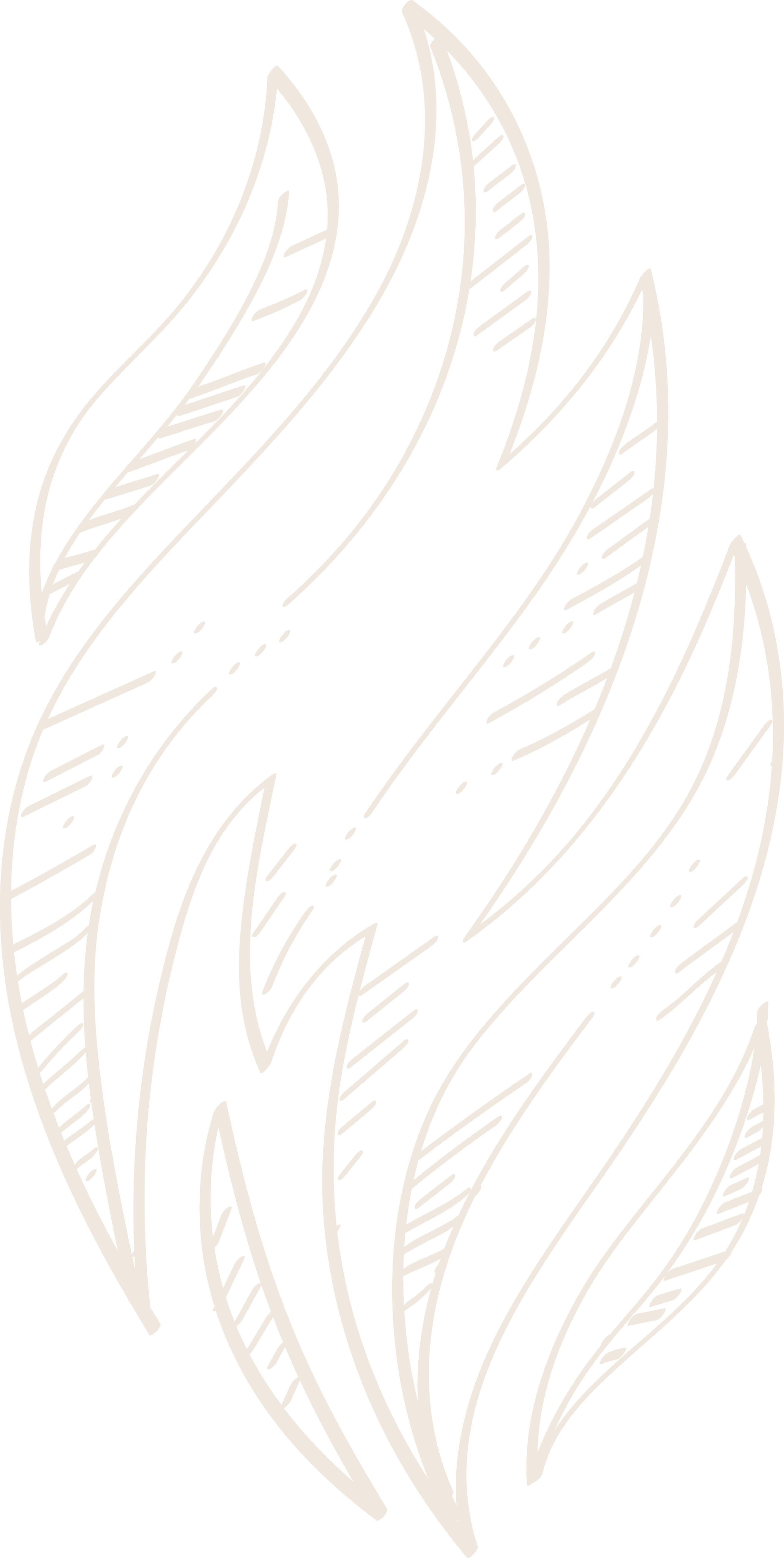 Ayurveda 5 Grundelemente Feuer