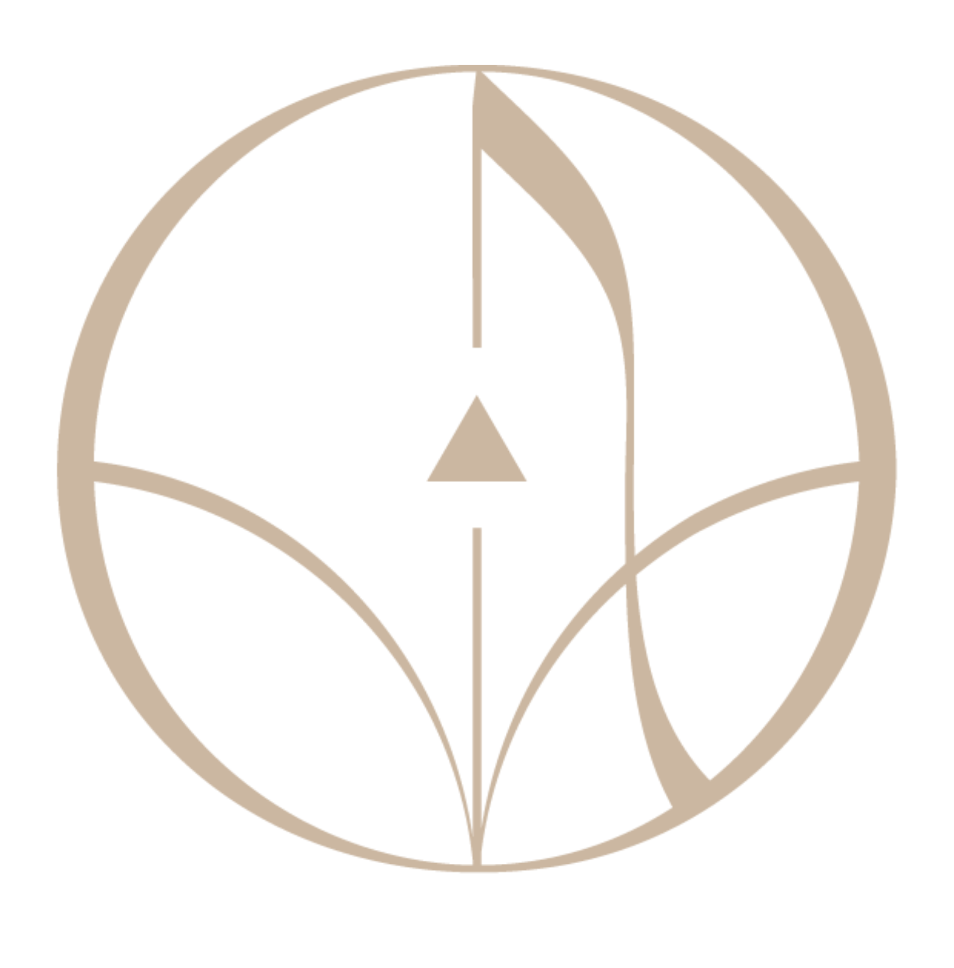 Ayurveda-Medizin | Praxis