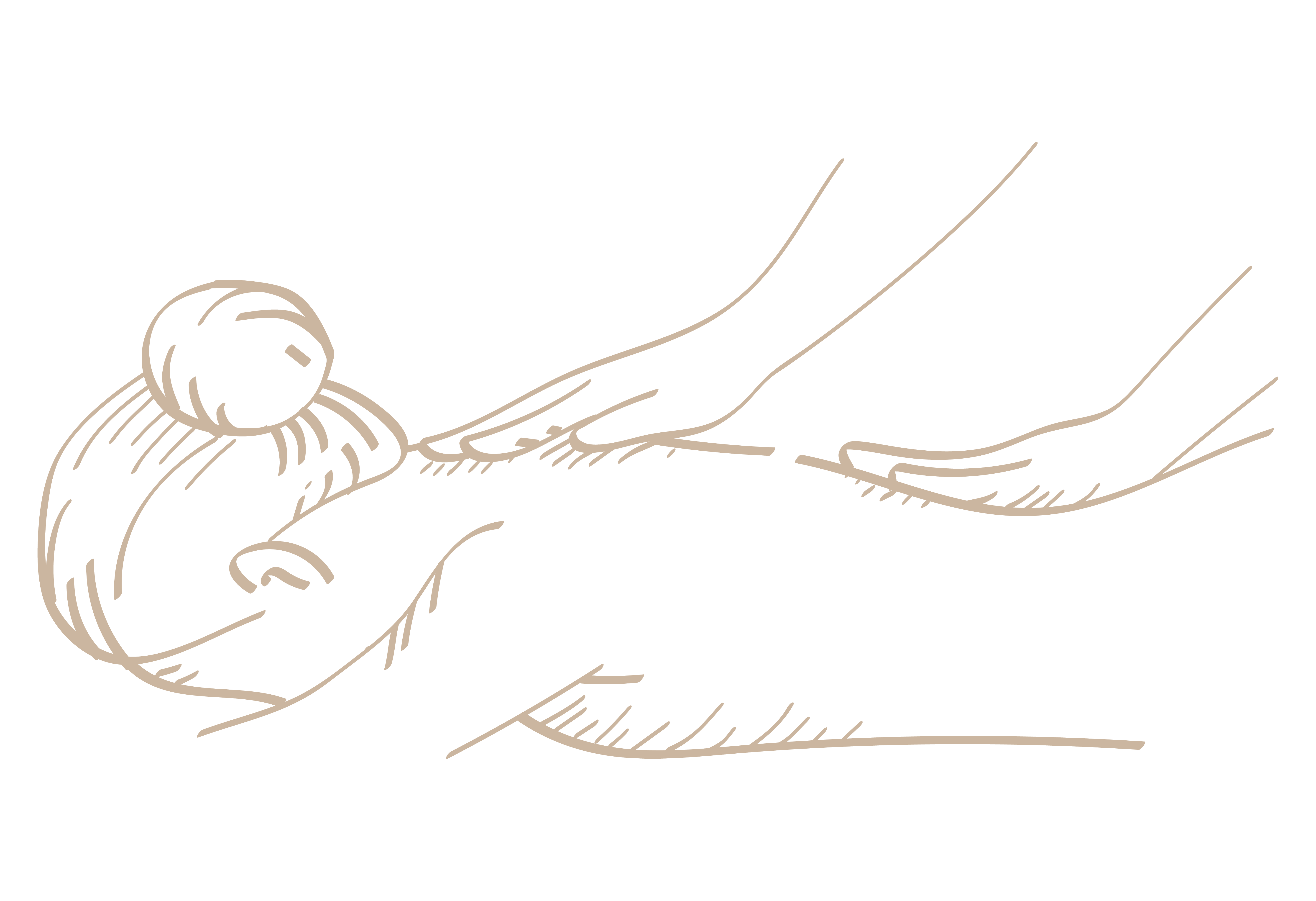 Ayurveda Massage Ganzkörpermassage