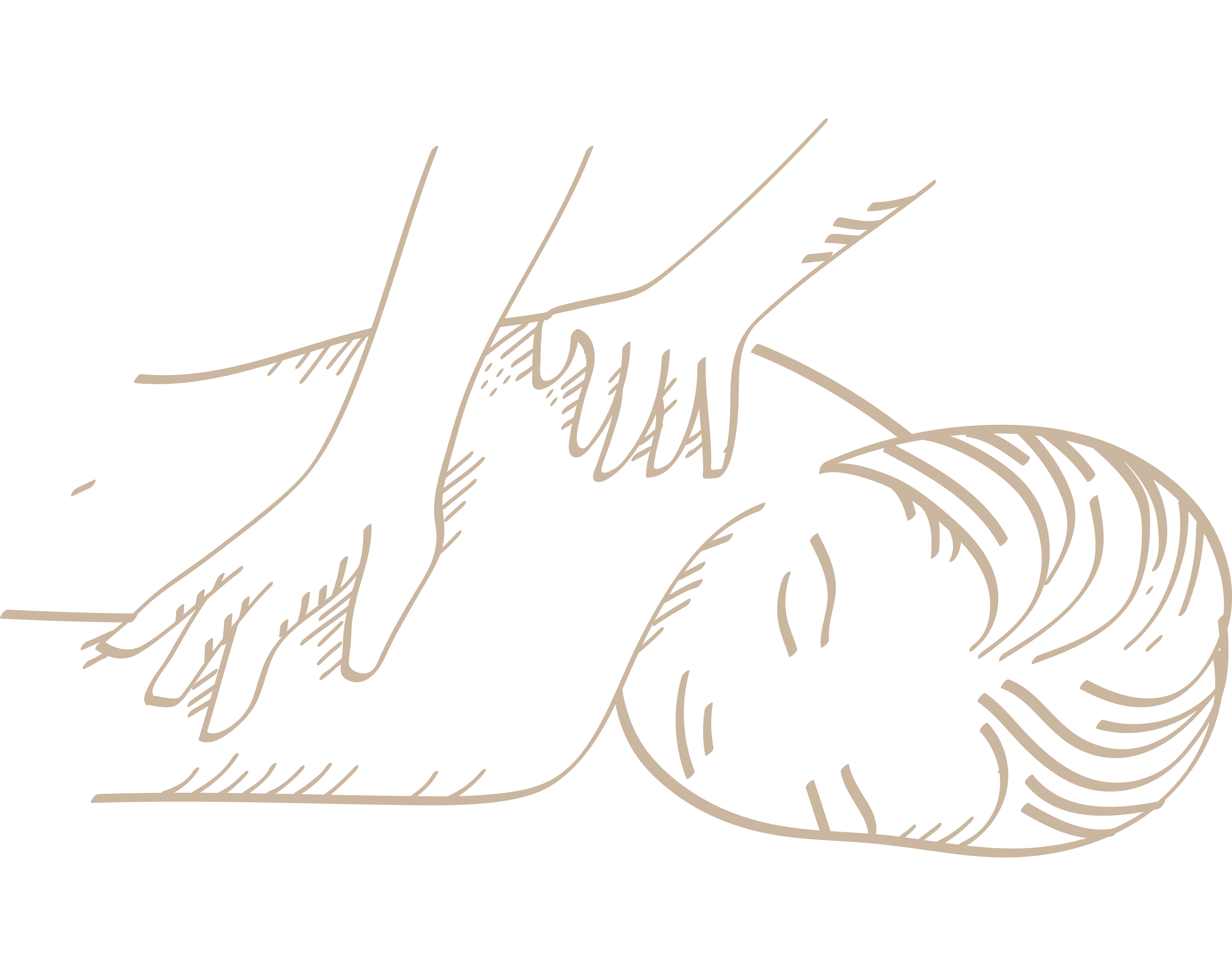 Ayurveda Massage Ganzkörper