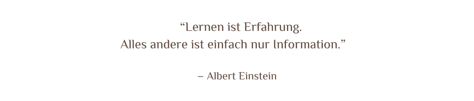 Mobil Albert Einstein
